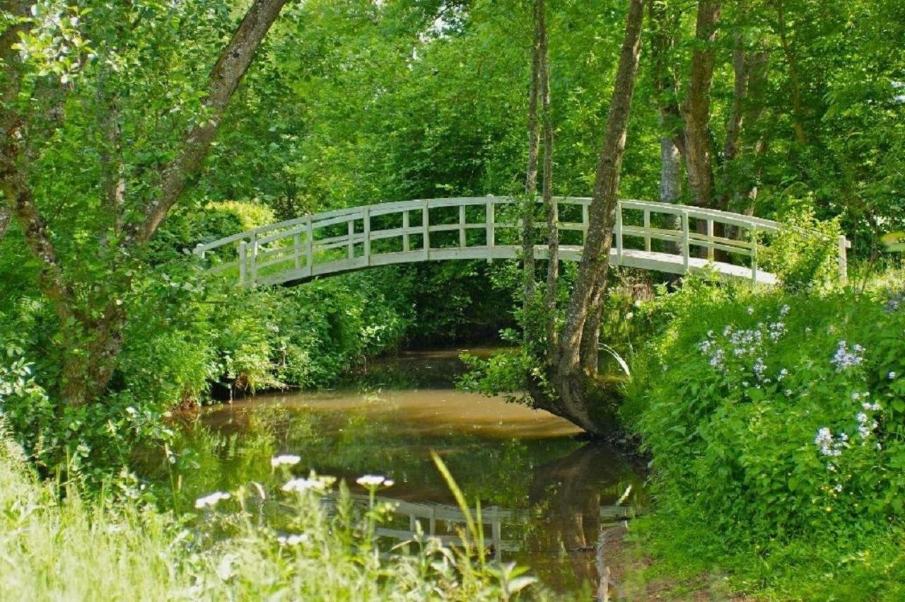 Le Charme Villa Mézilles Eksteriør billede